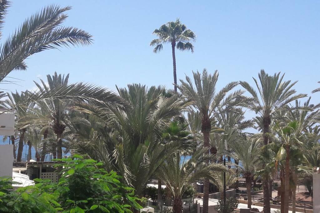Guayero, Bel Appartement A 50M De La Mer Los Cristianos  Kültér fotó